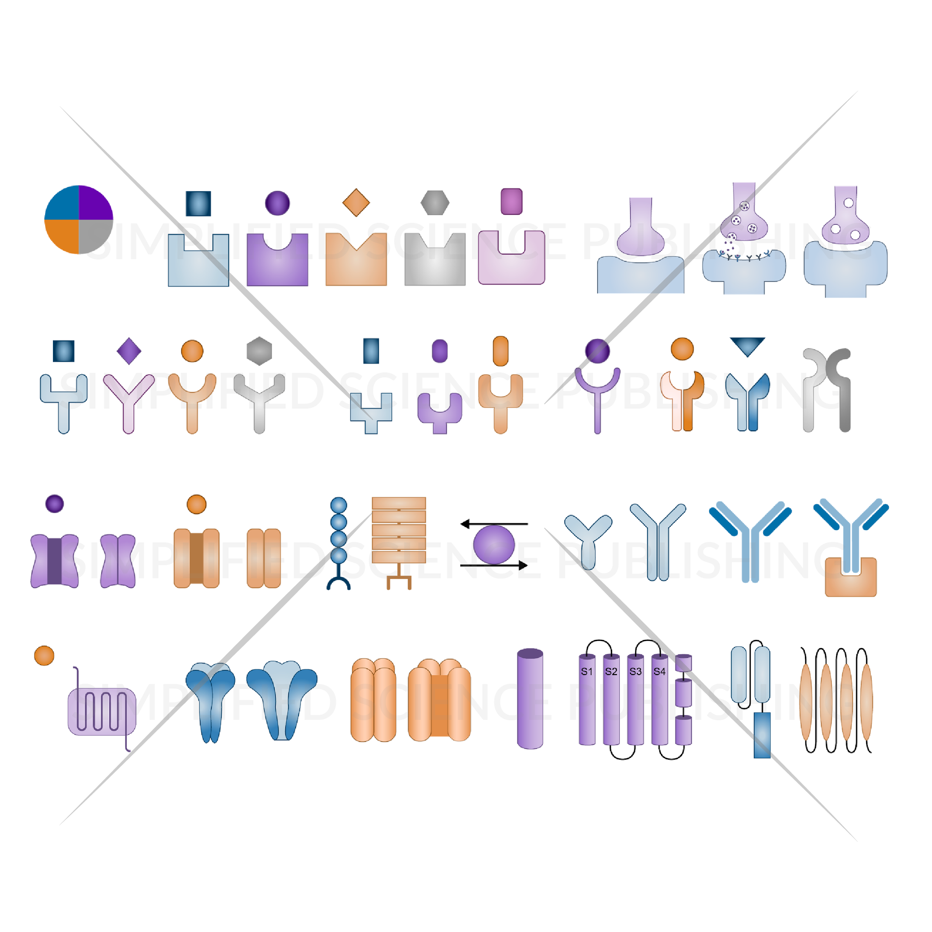 1 Biological Diagram Templates