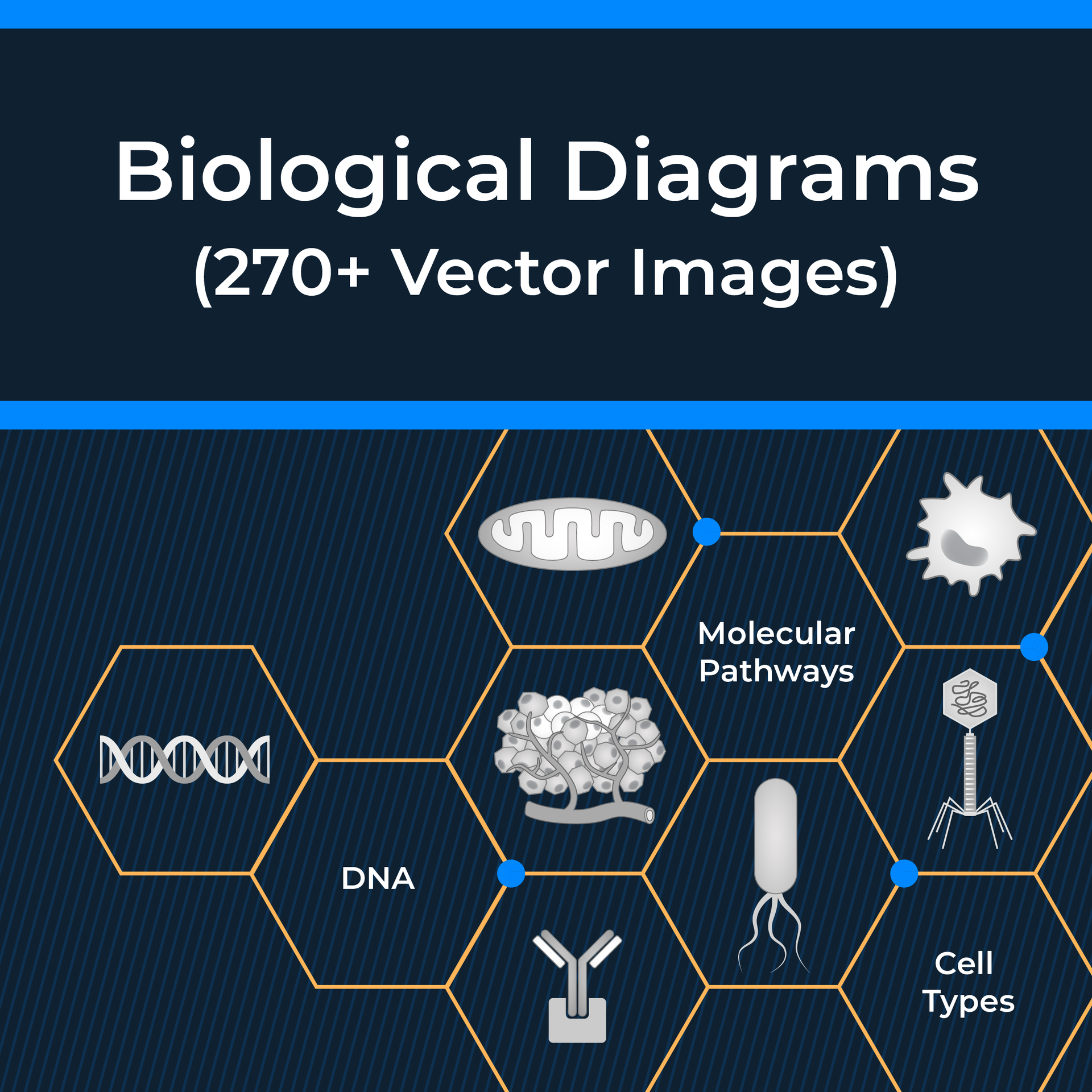 1 Biological Diagram Templates