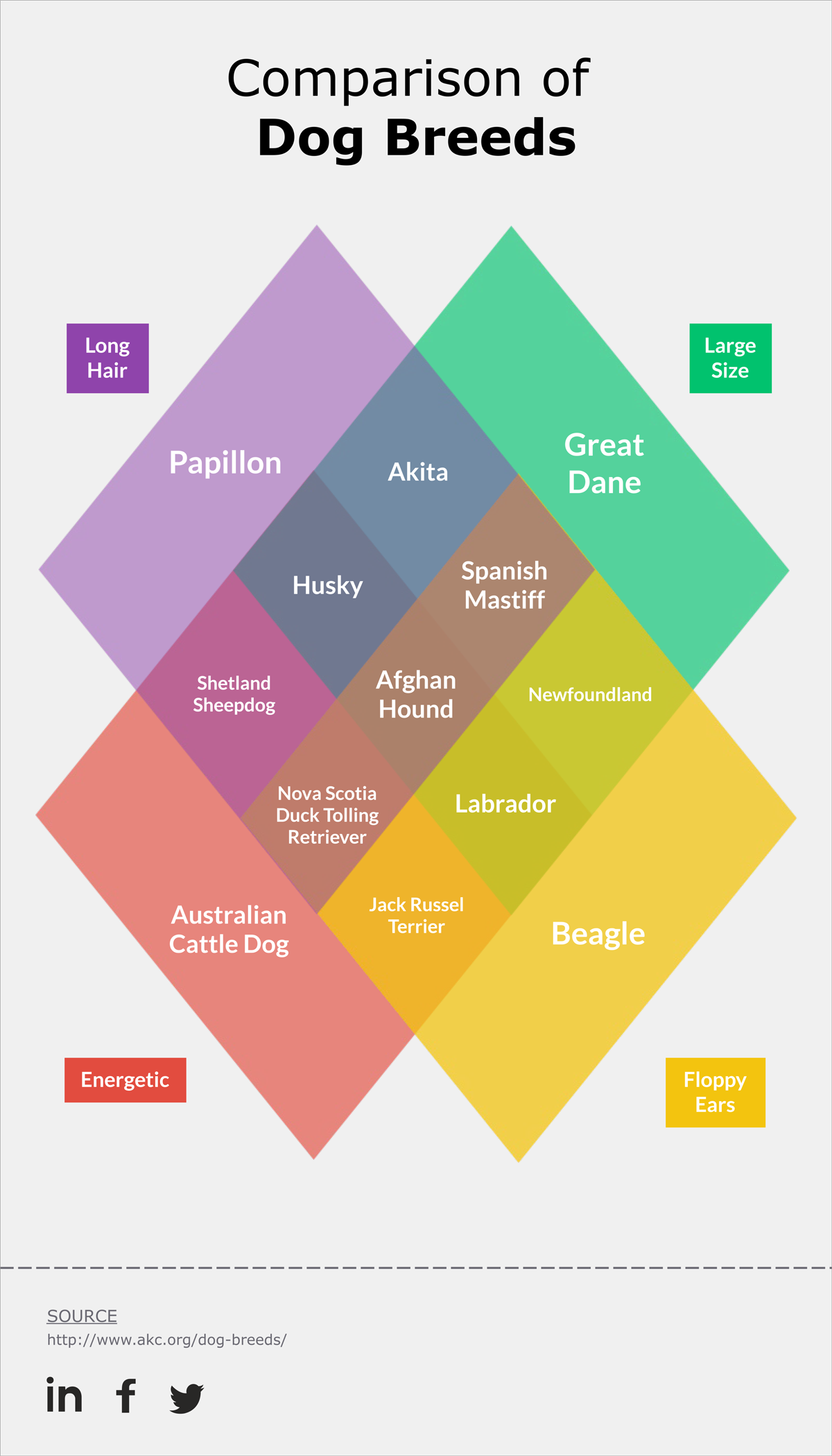 28 Venn Diagram Templates To Edit And Download Now 2025