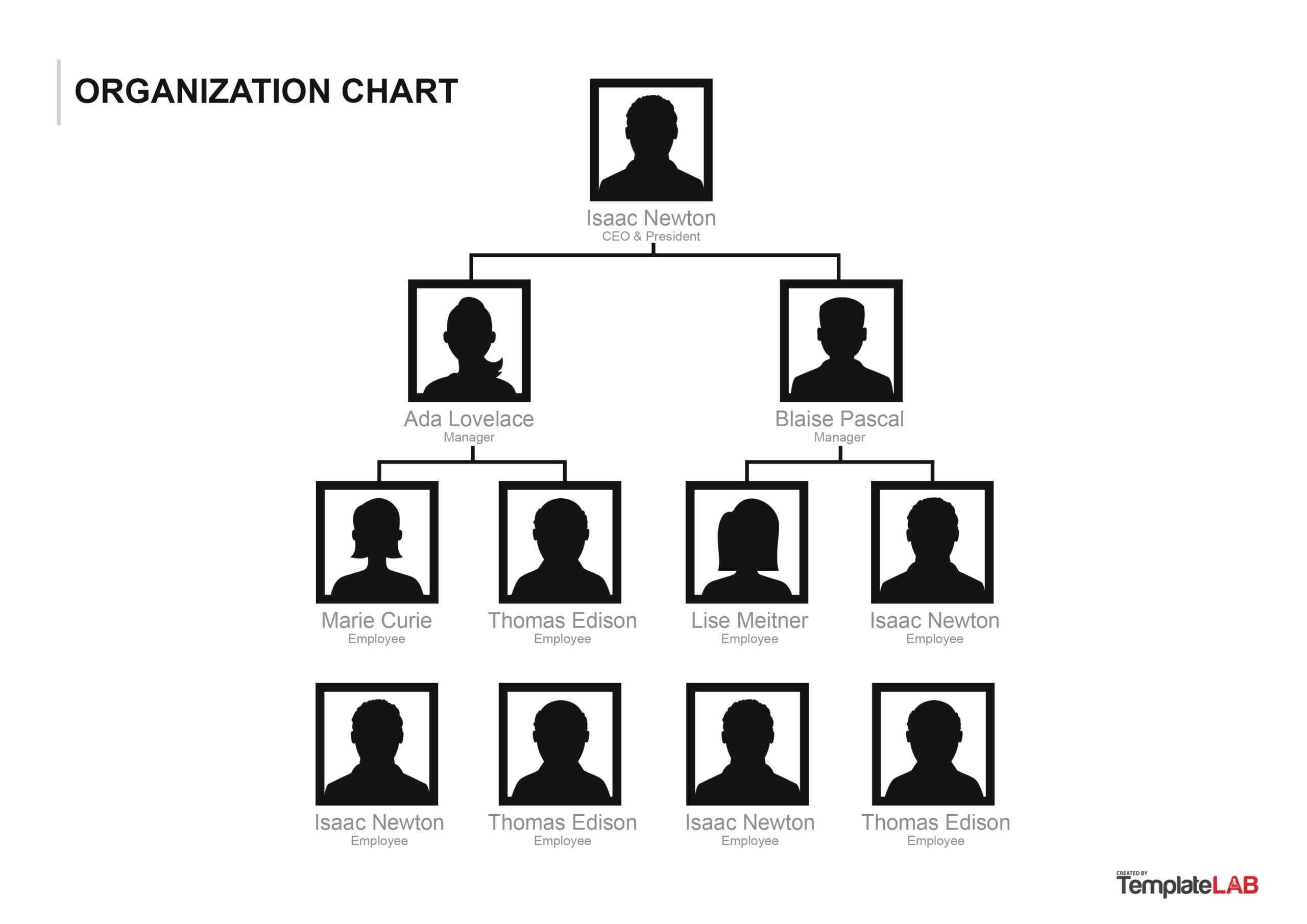 Hierarchy Diagram Template Word