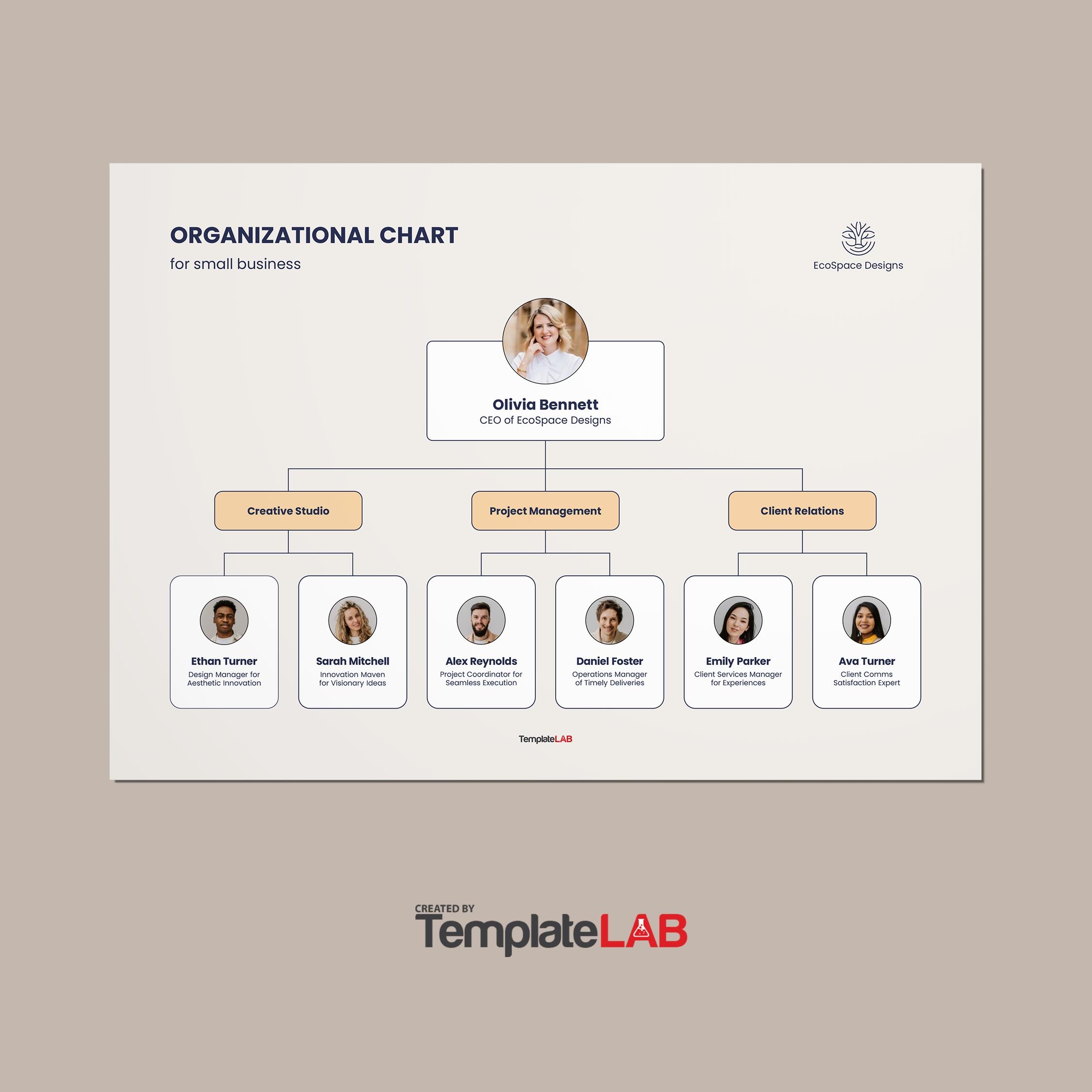 41 Organizational Chart Templates Word Excel PowerPoint PSD
