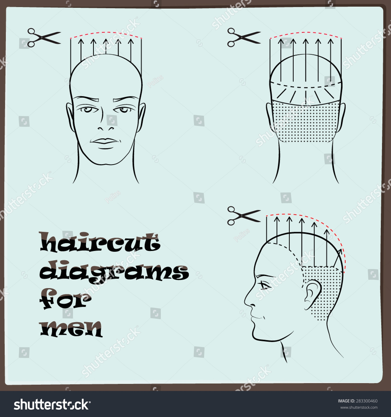 42 Hair Cut Diagram Men Royalty Free Images Stock Photos U0026 Pictures Shutterstock