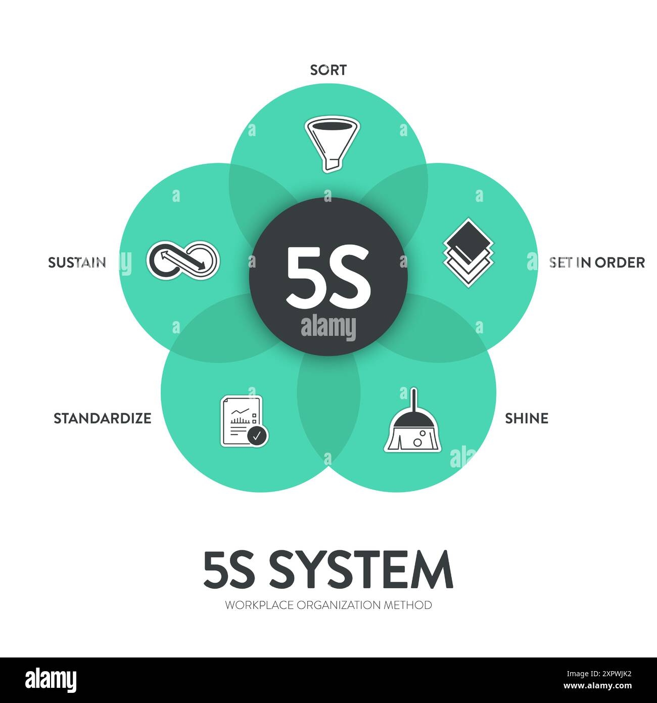 5s System Methodology Strategy Infographic Diagram Chart Banner Template With Icon Vector For Presentation Has Sort Set In Order Shine Standardize Stock Vector Image U0026 Art Alamy