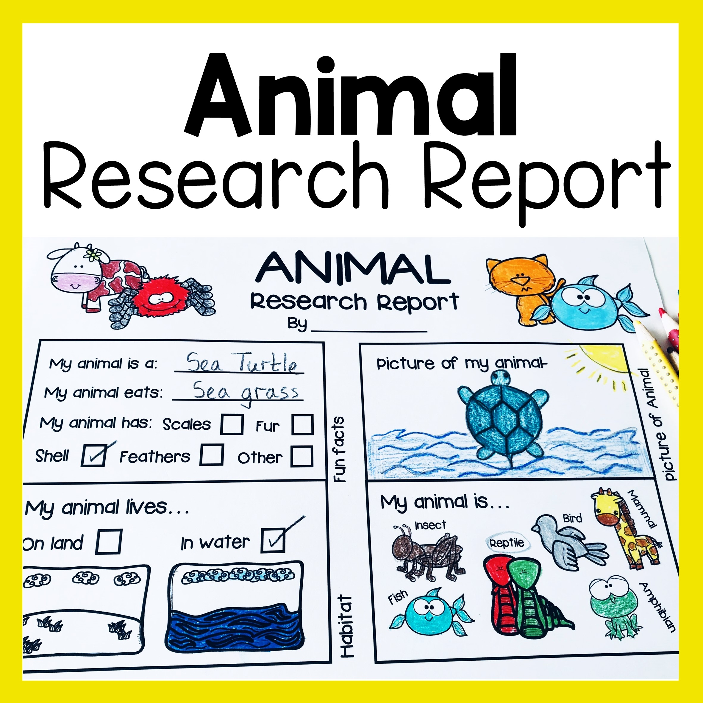 Animal Research Report Worksheets And Graphic Organizers