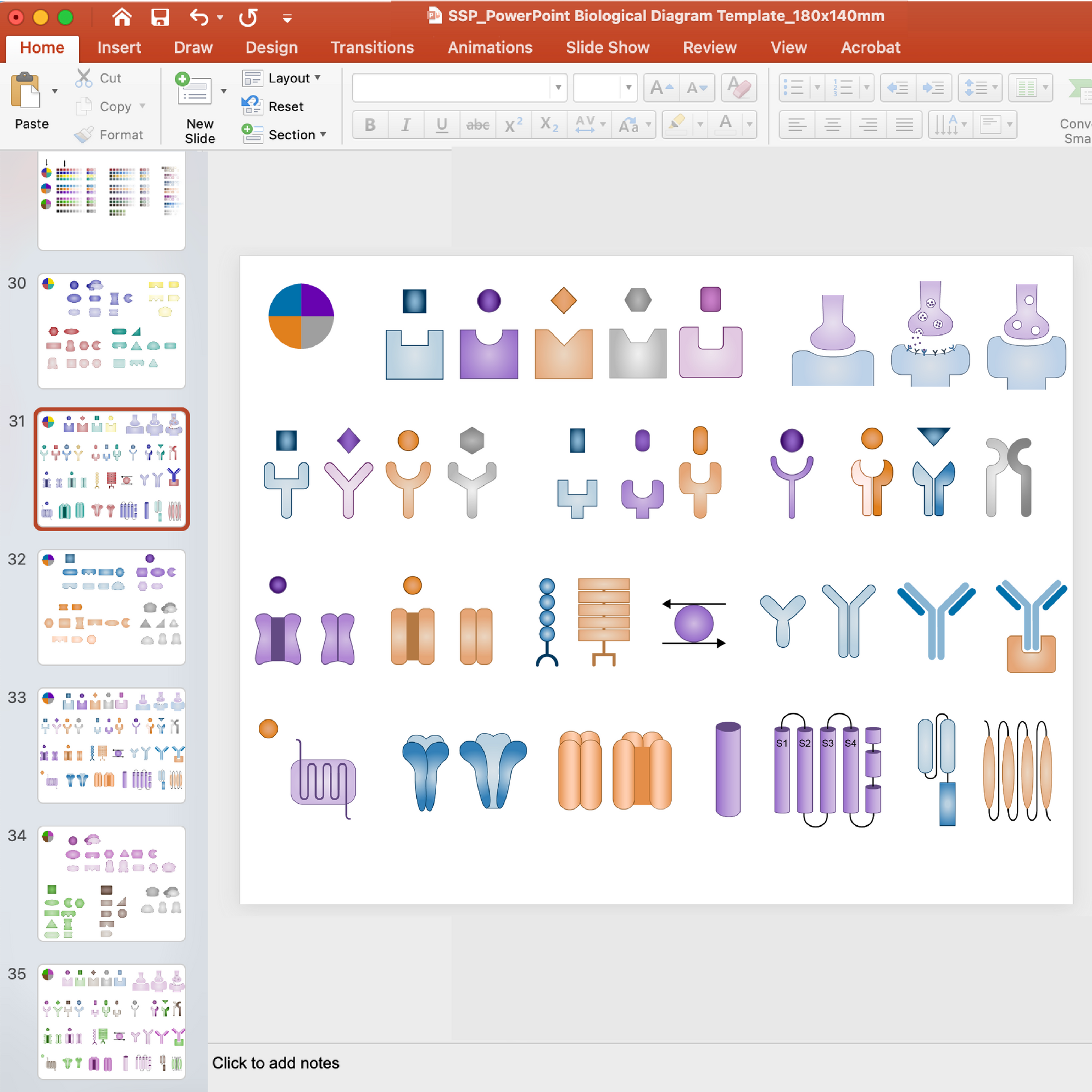 Biological Diagram Templates Vector Drawings For Download