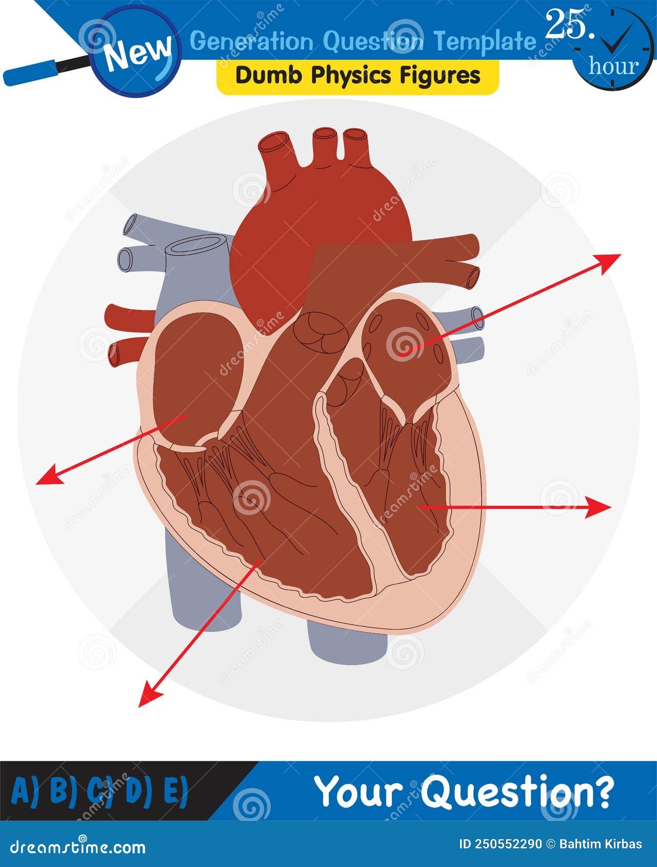 Biology Parts Of The Heart Next Generation Question Template Stock Vector Illustration Of Diagram Education 250552290