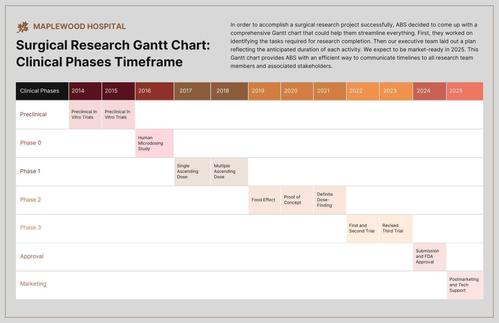 Research Diagram Template