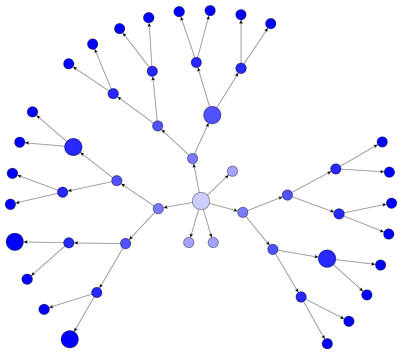 Radial Diagram Template