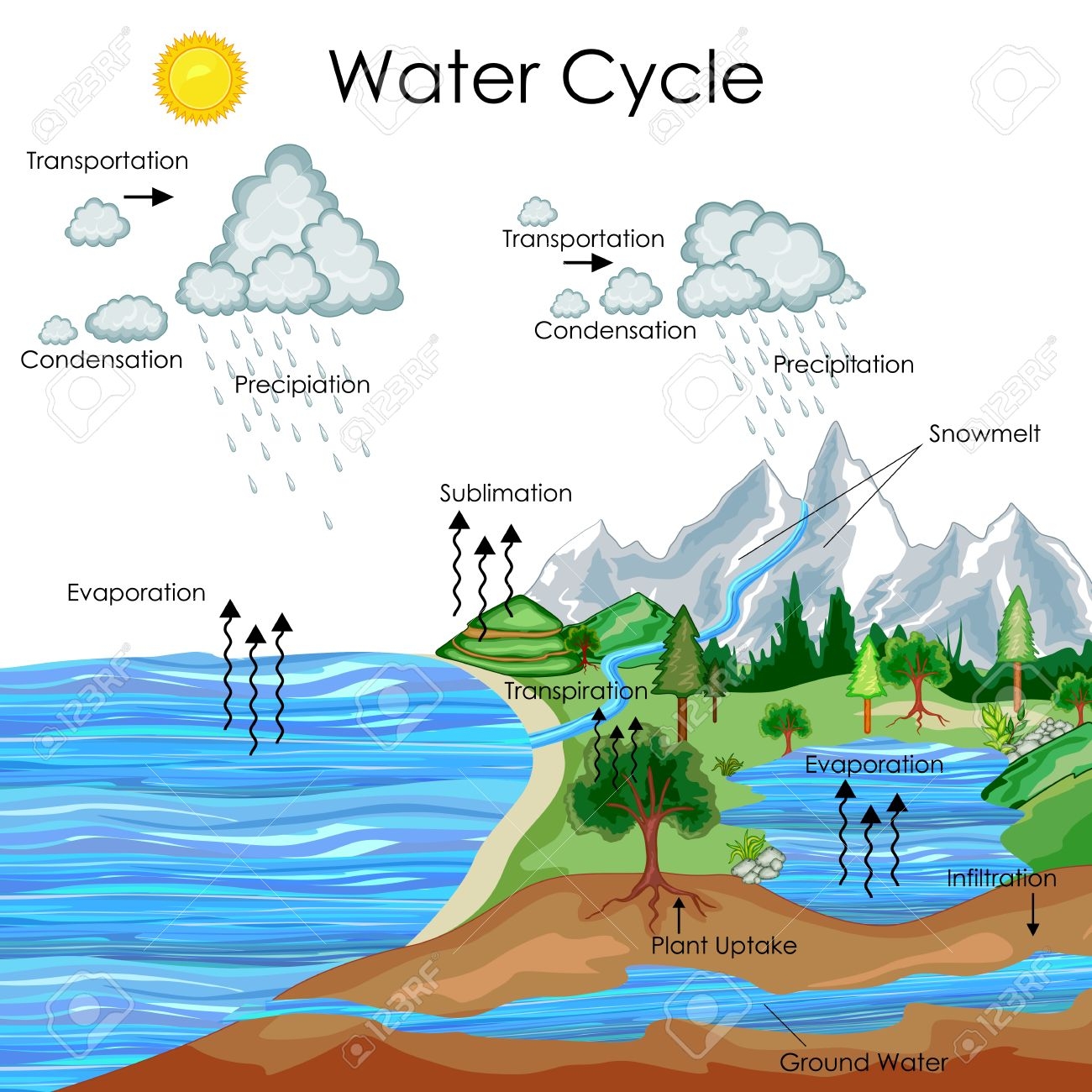 Education Chart Of Water Cycle Diagram Royalty Free SVG Cliparts 