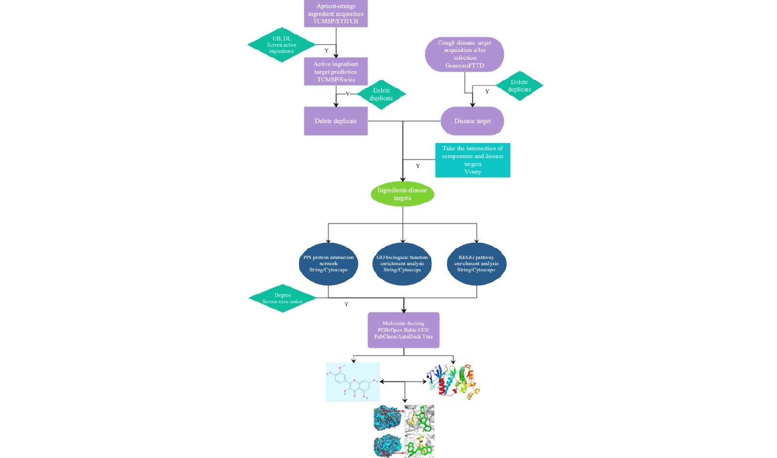 Explore Yes or No Flowcharts With Examples