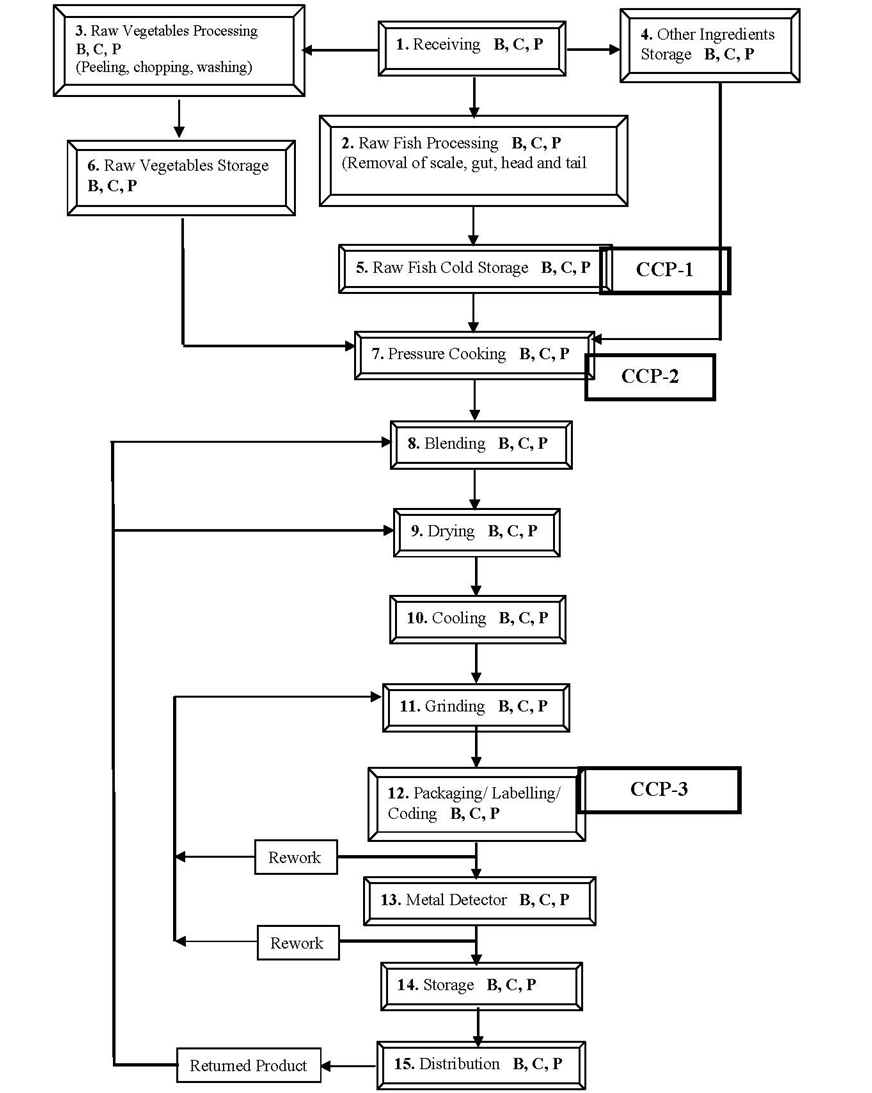 Haccp Flow Diagram Template