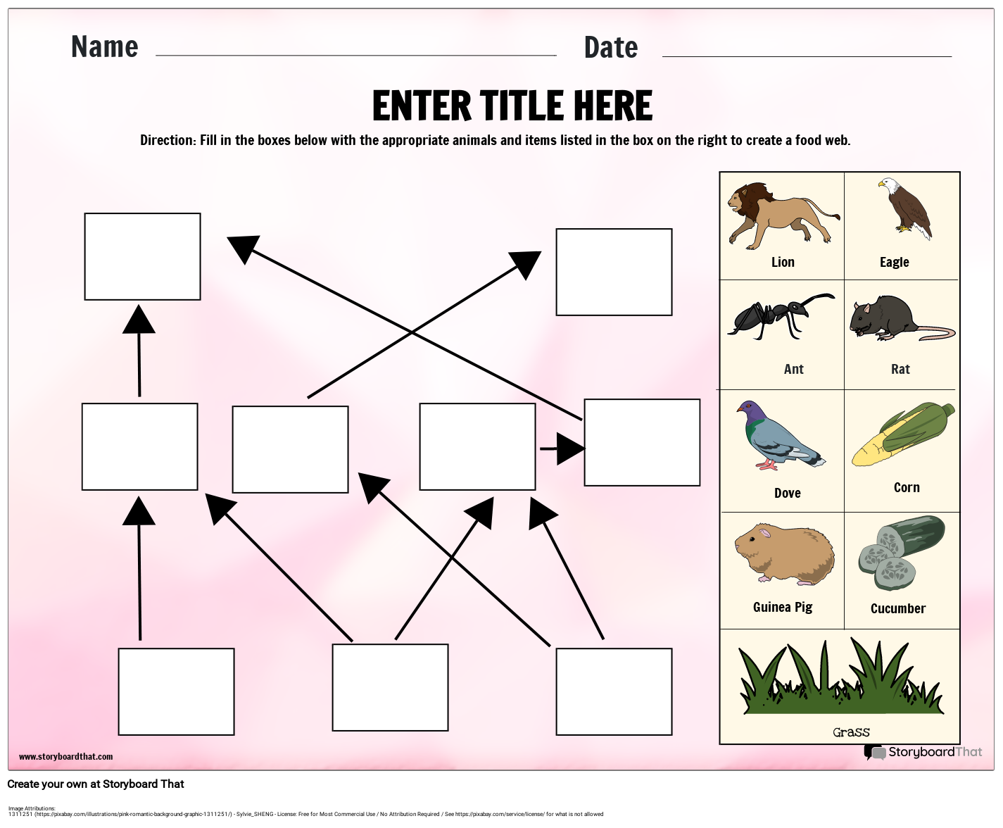 Food Web Process Ecosystem Template Storyboard