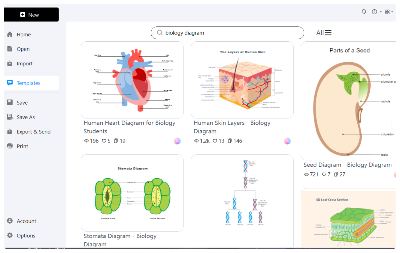 Free Biology Diagram Software With AI Assistance