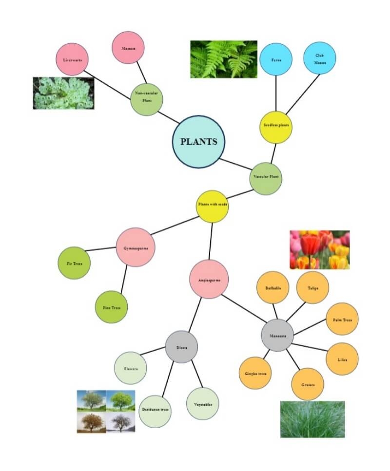 Free Editable Cluster Diagram Examples EdrawMax Online
