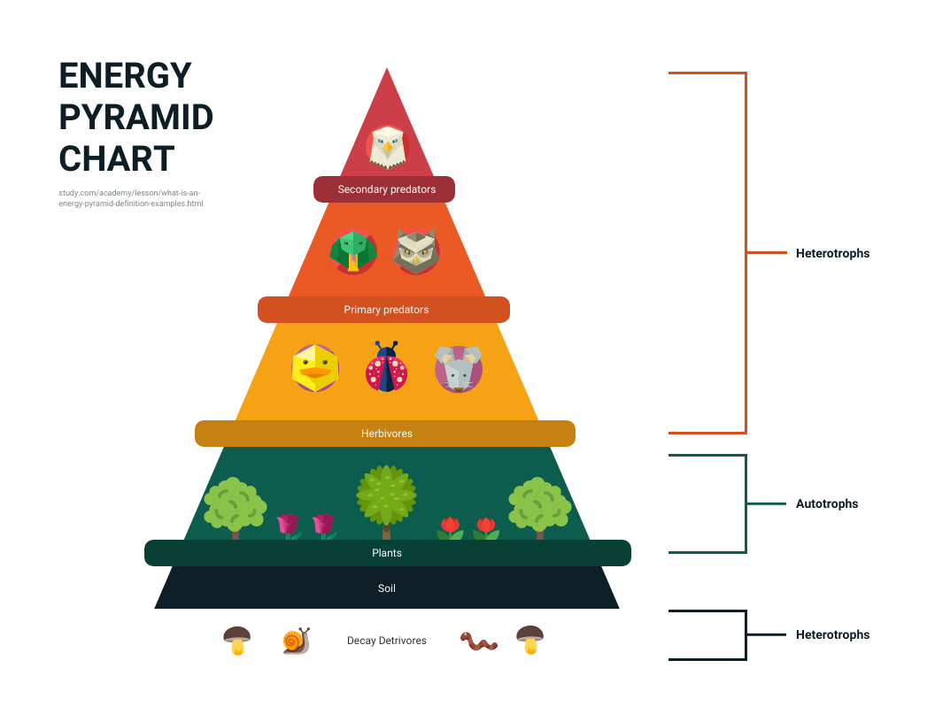 Pyramid Diagram Template For Word
