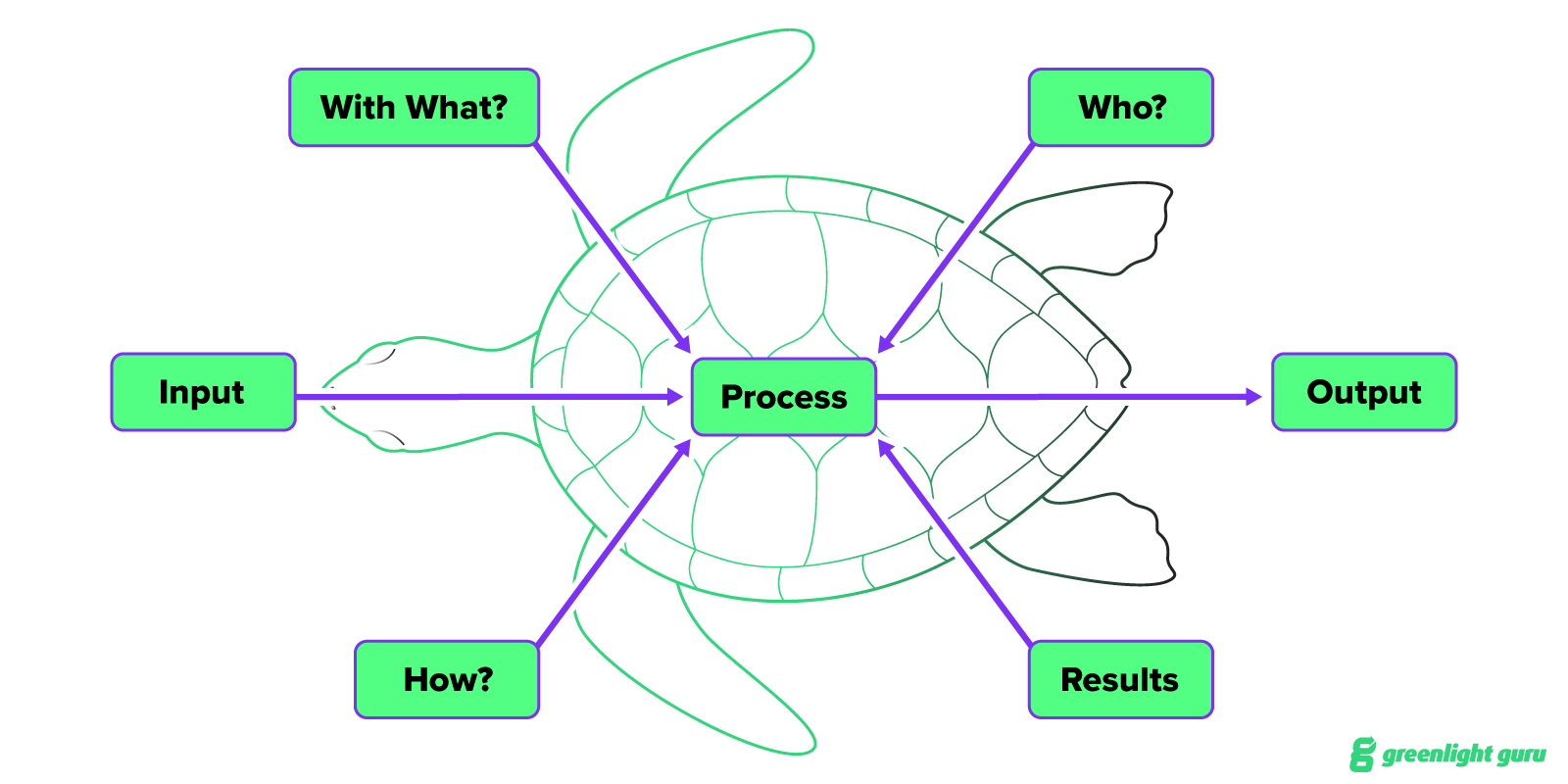 Turtle Diagram Template Free Download