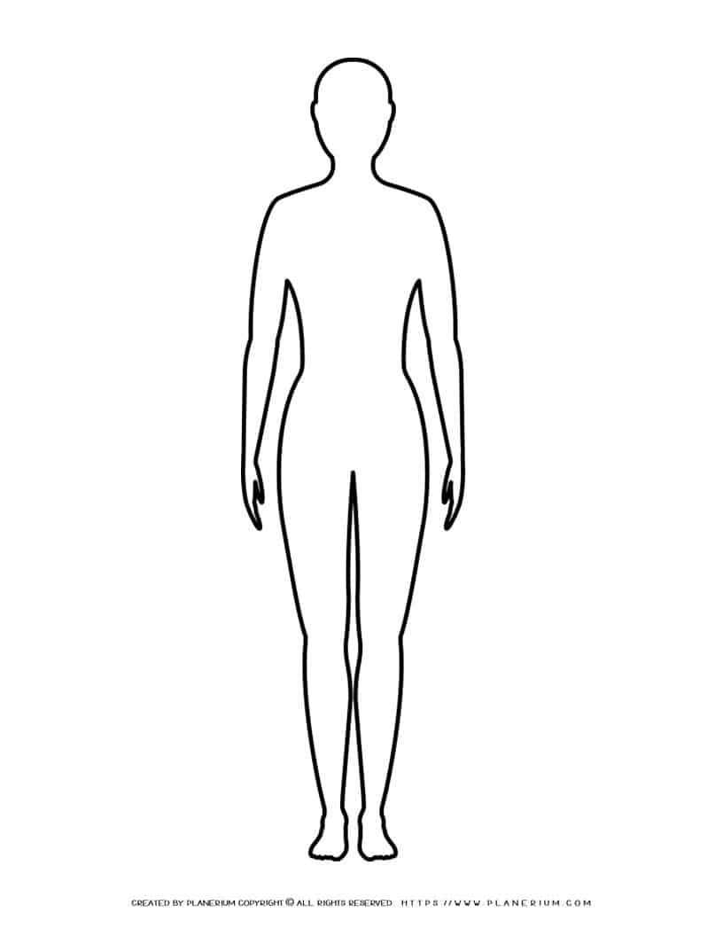Human Body Template