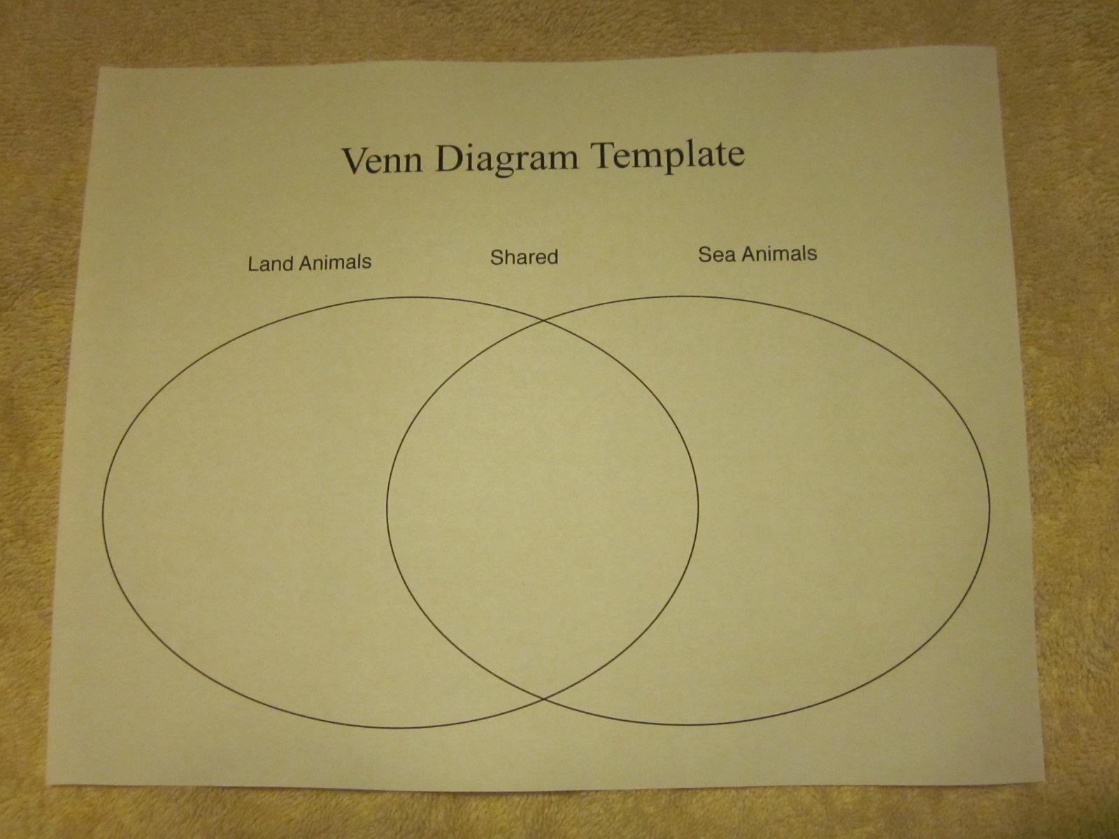 Organizing Thoughts In Writing Venn Diagrams Schoolmarm Ohio