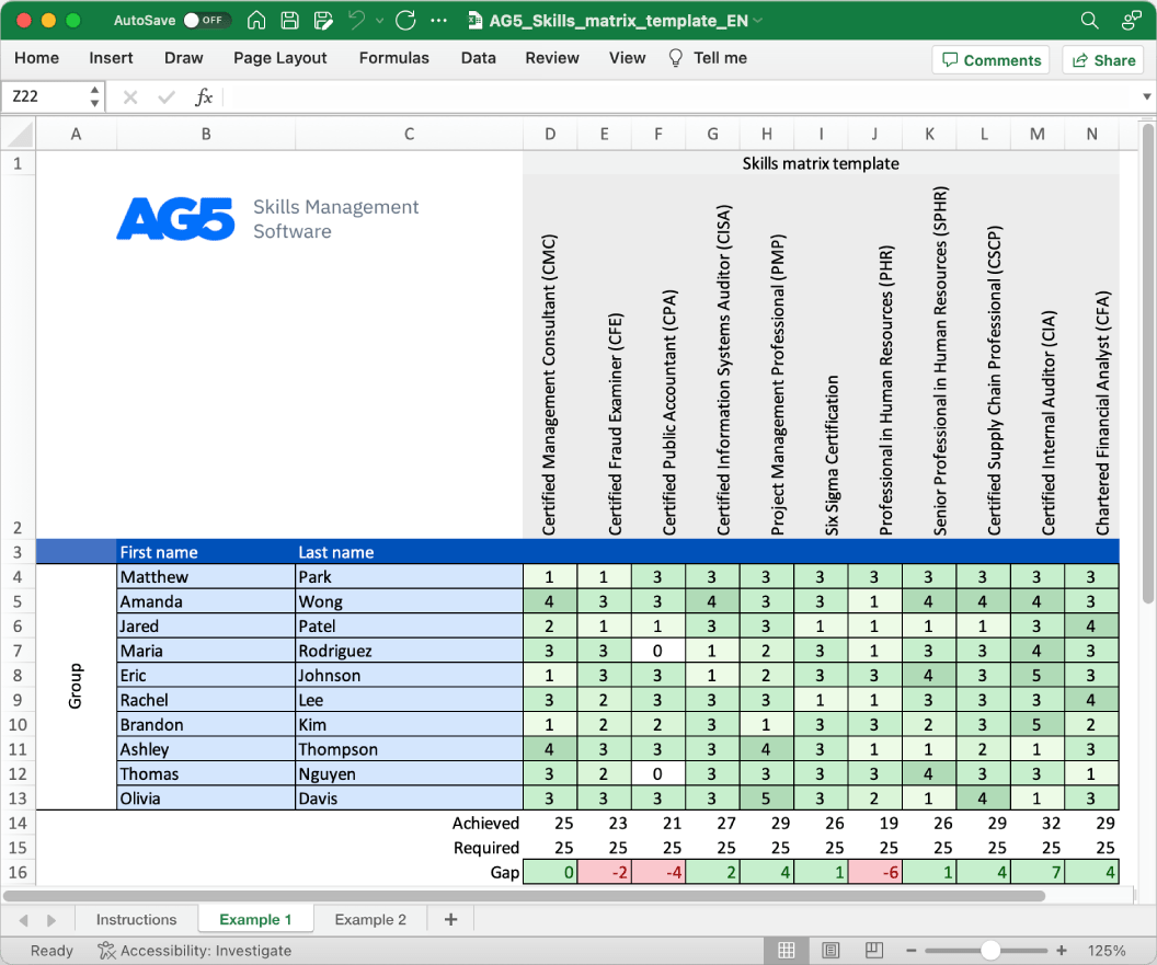 Process Flow Chart Skills Matrix Template AG5