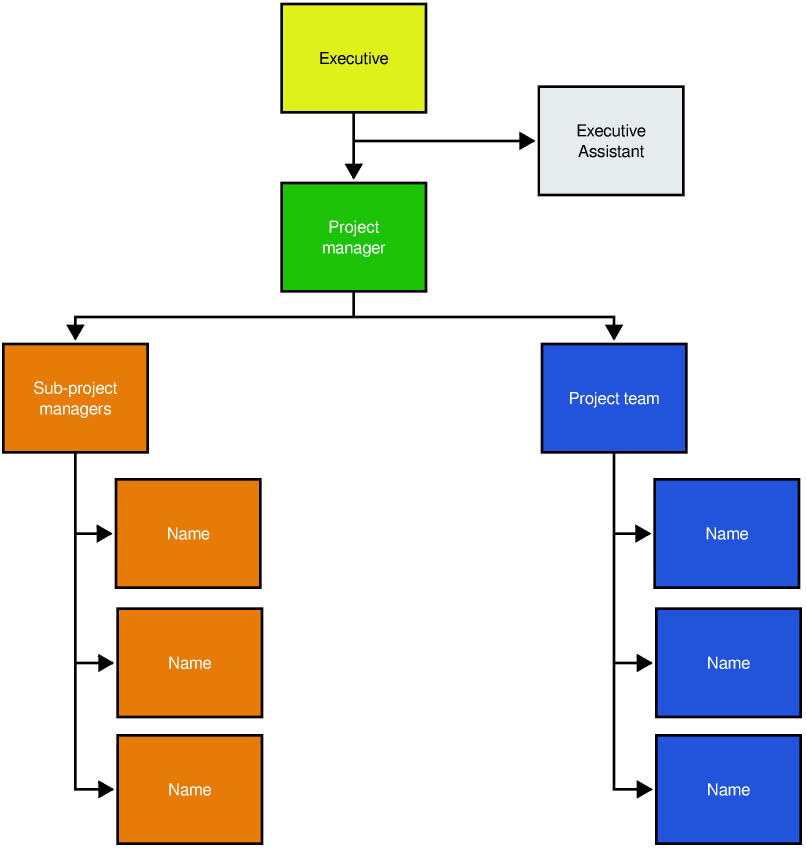Project Management Organization Chart Template Free Examples 