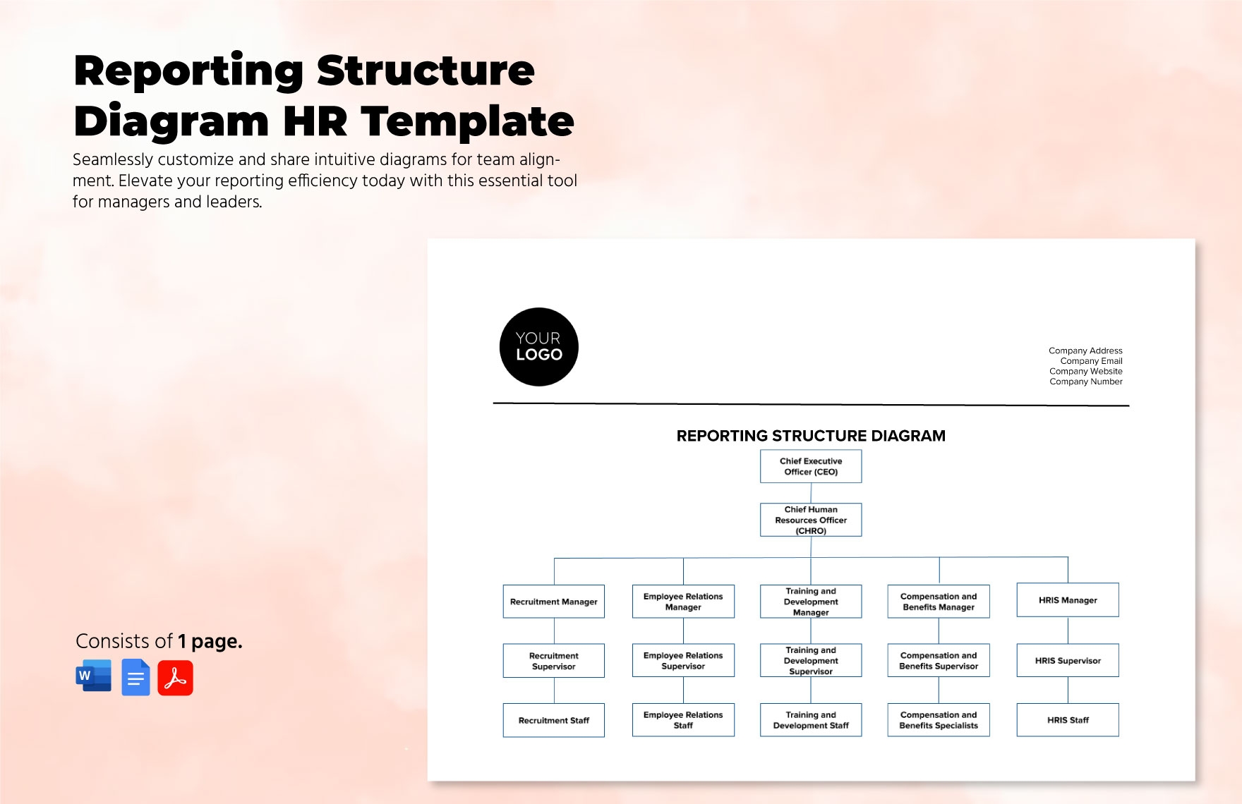Reporting Structure Diagram HR Template In Word PDF Google Docs 