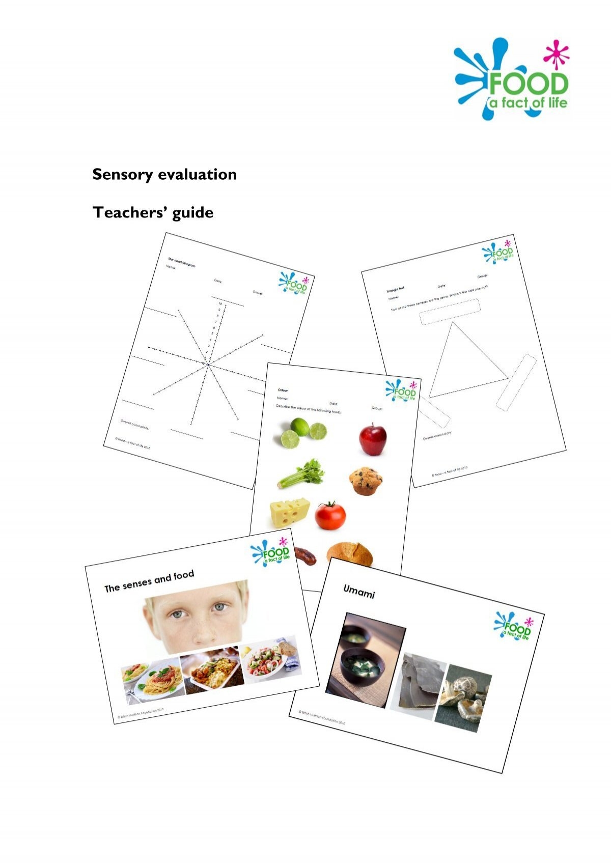 Sensory Analysis Star Diagram Template