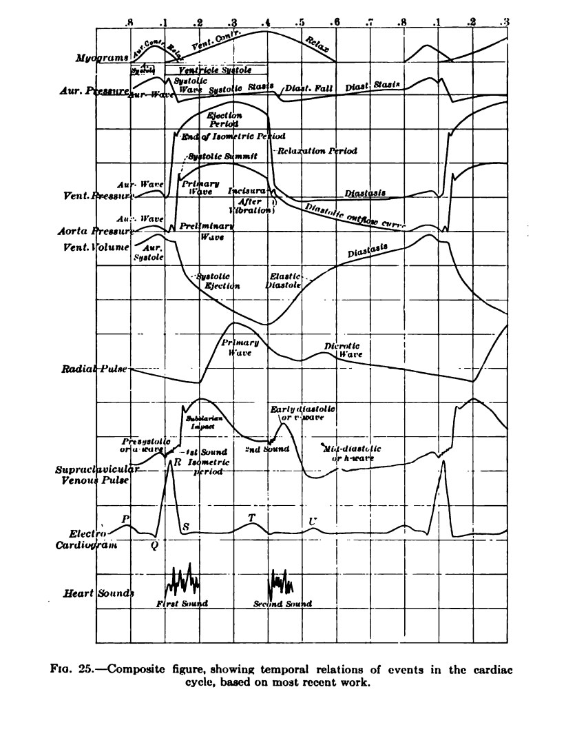 The Cardiac Cycle Deranged Physiology