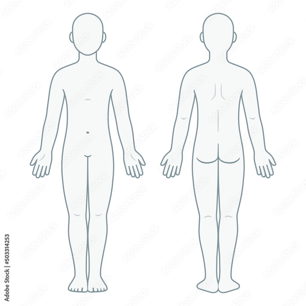 Unisex Body Chart Diagram Template Front And Back Stock Vector 
