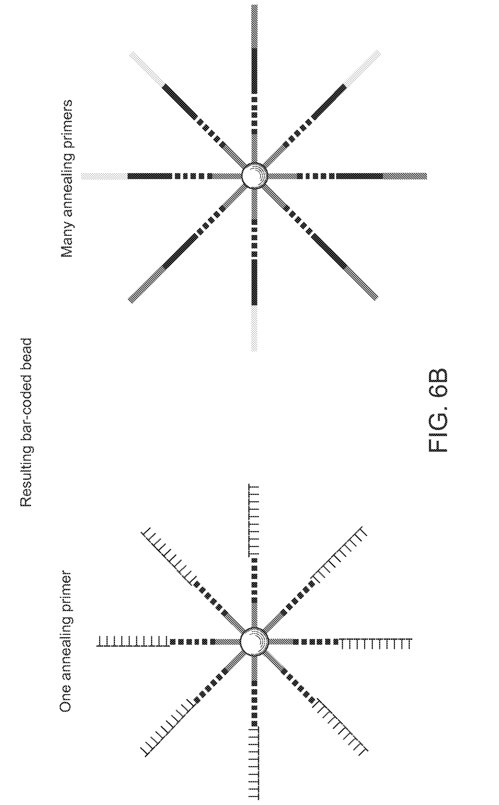 Star Diagram Template Food Technology