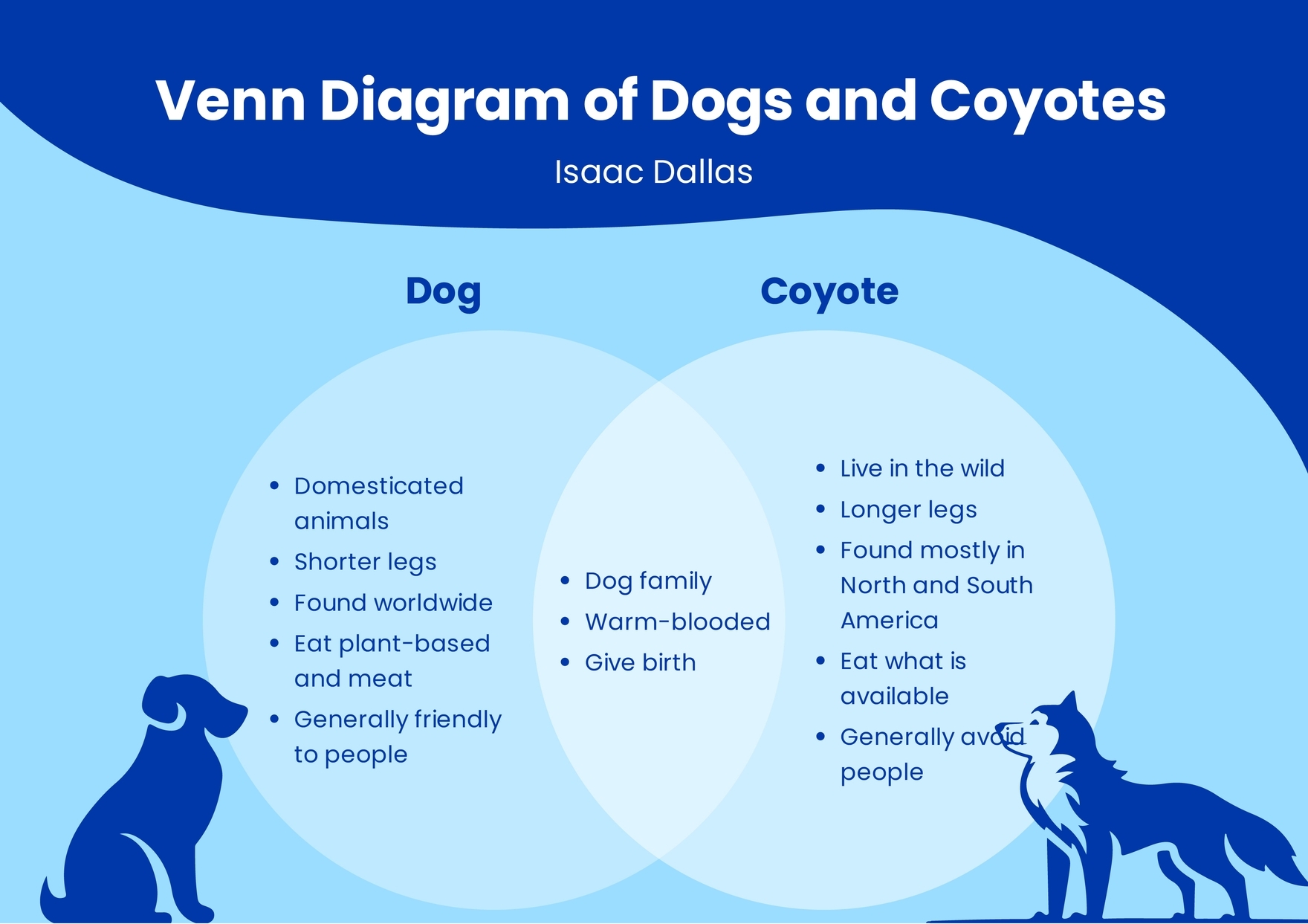 Venn Diagram Graphic Organizer Template In Illustrator Word 