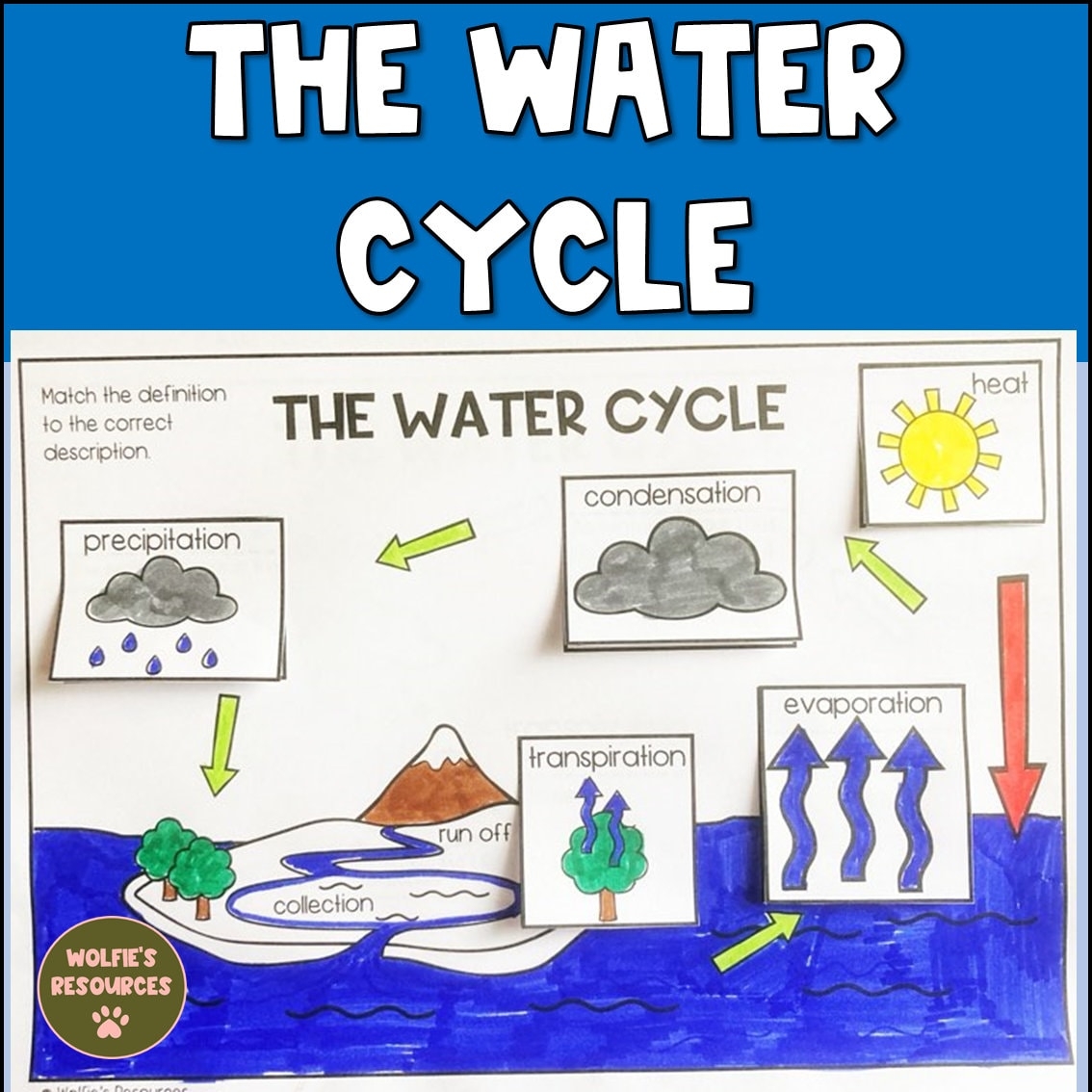 Water Cycle Diagram And Activity Etsy