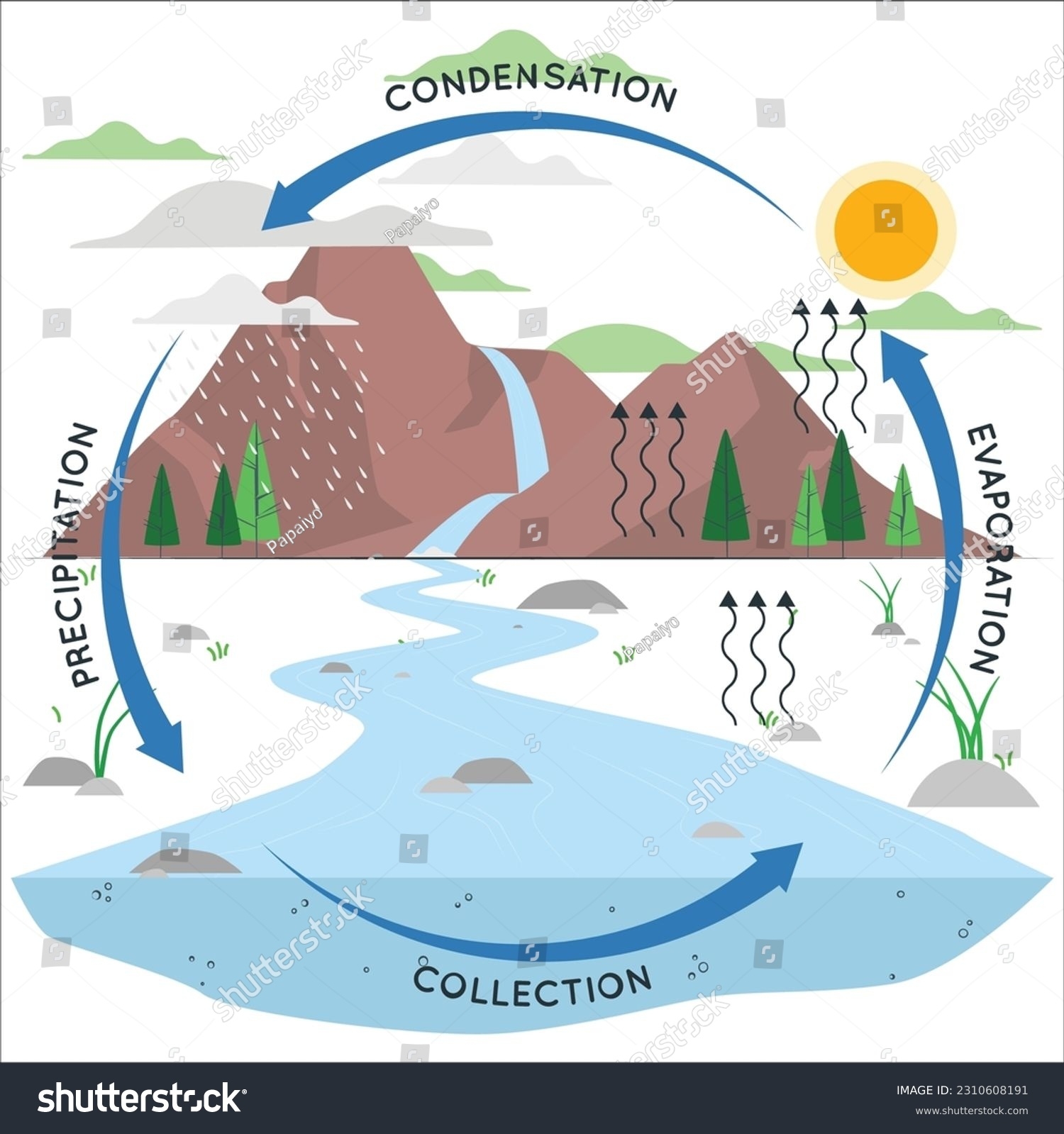 Water Cycle Infographic Ecosystem Concept Water Stock Vector 