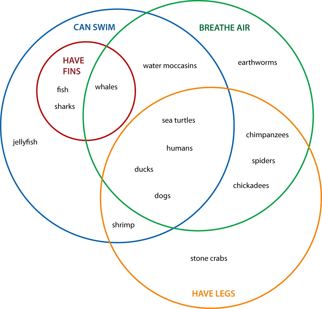 What Is A Venn Diagram With Examples EdrawMax Online